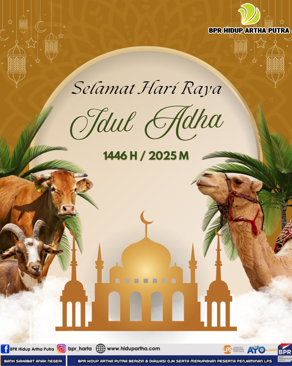 berita